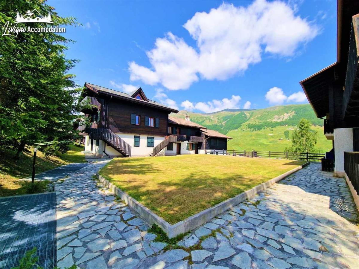Chalet Rododendro Forest By Livigno Accomodation Eksteriør bilde